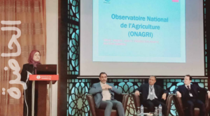 Read more about the article بعد تعذّر تمرير اتفاقية الأليكا، هل يسعى الاتحاد الأوروبي إلى مسارات جديدة للتأثير في القطاع الفلاحي التونسي؟