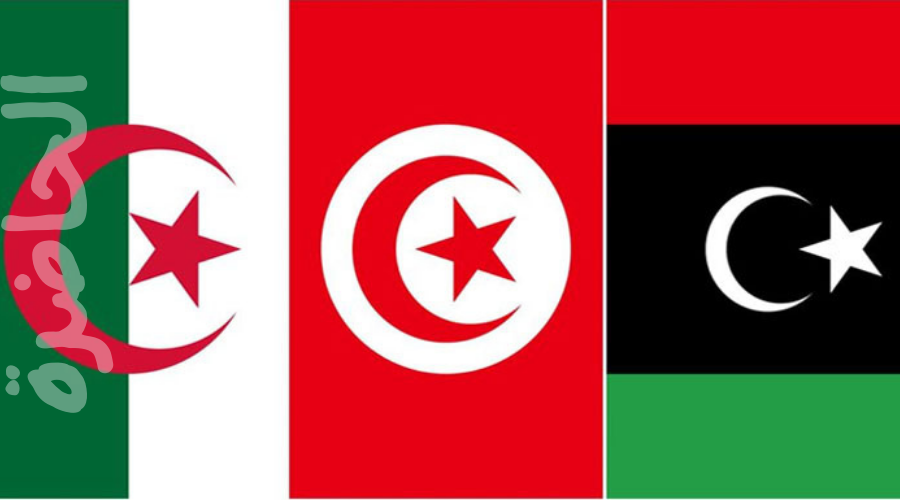 Read more about the article القمة الثلاثية بين الجزائر وتونس وليبيا: آفاق جديدة للتعاون الإقليمي في 2025 ؟