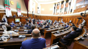 Read more about the article الجزائر: إعادة هيكلة شاملة لعمل الأحزاب والجمعيات